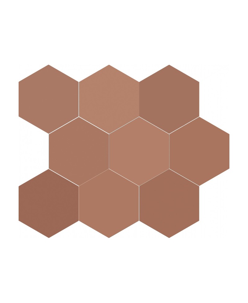 Carrelage hexagonal terracotta 21,5x25 cm, sol, mur, intérieur et extérieur