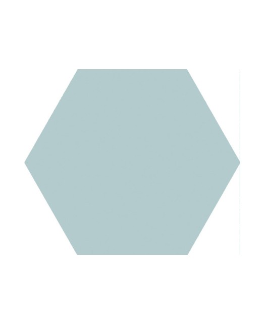 Carrelage hexagonal 15x17 cm, grès cérame, vert, pour sol et mur, intérieur et véranda.