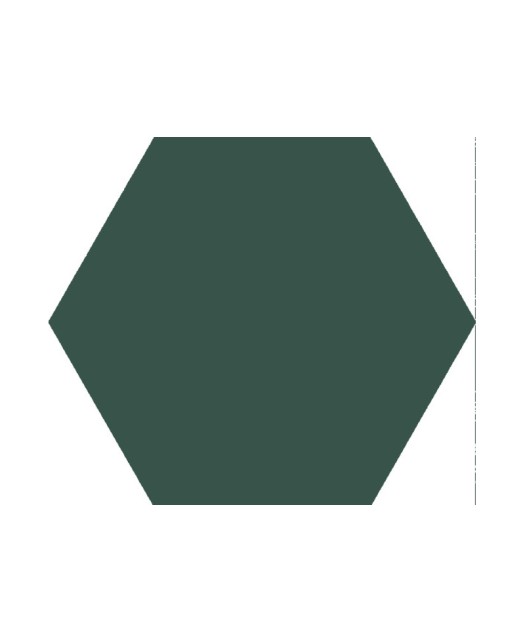 Carrelage hexagonal 15x17 cm, grès cérame, vert, pour sol et mur, intérieur et véranda.