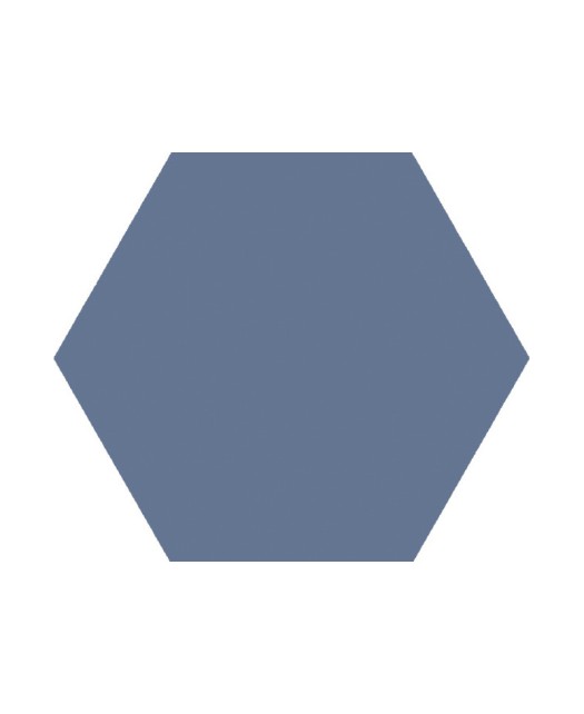Carrelage hexagonal 15x17 cm, grès cérame, bleu, pour sol et mur, intérieur et véranda.
