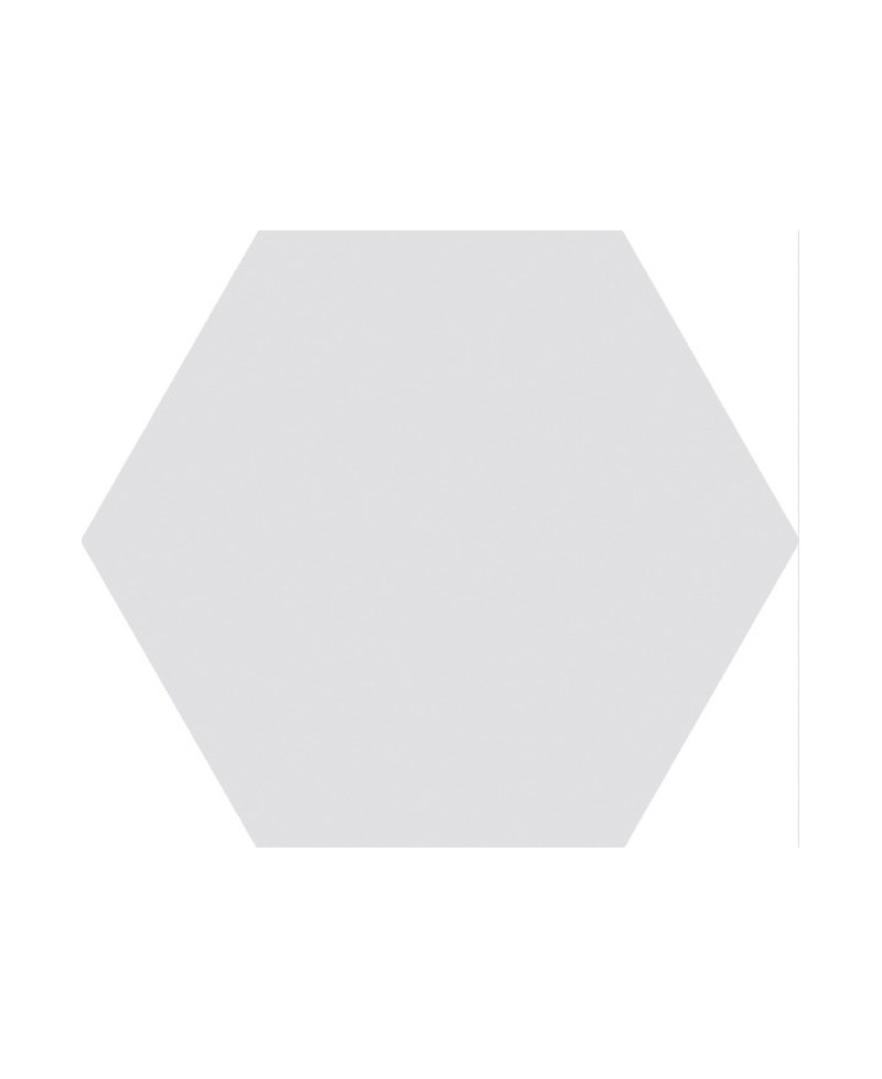 Carrelage hexagonal 15x17 cm, grès cérame, gris, pour sol et mur, intérieur et véranda.