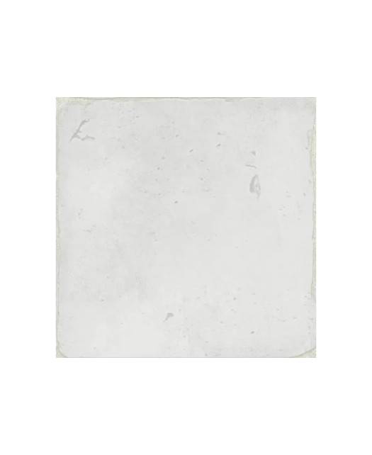 carreau de ciment 15x15 cm - grès cérame émaillé - sol et mur - intérieur et extérieur - blanc