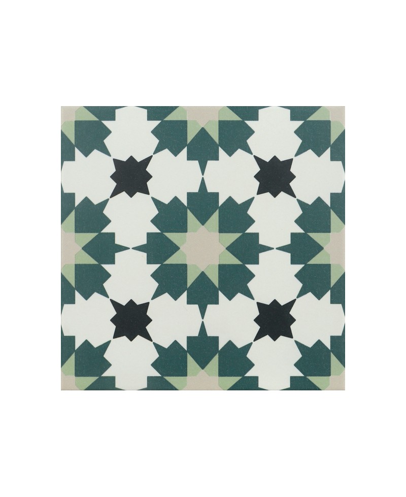 Carrelage imitation ciment - mur et sol - intérieur et extérieur - piscine - 20x20 cm - motifs verts